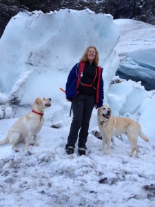 With my two search dogs