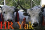 hr-yak-finl-160-100