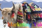 marketing-ornate-yak-fnl-160-100